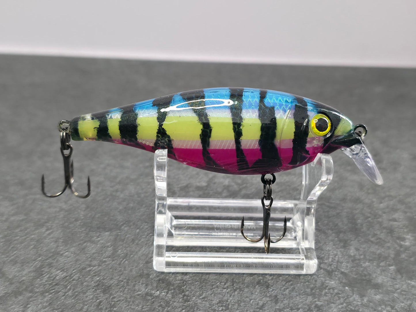 VF Voltage 90 - Rainbow Zebra